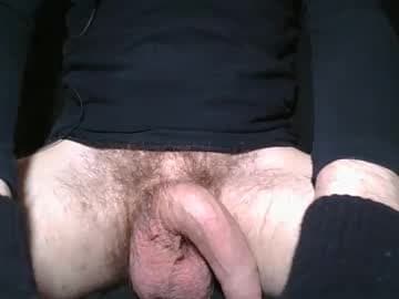 angelcock_