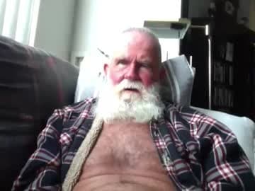 beardbushy