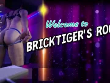 BrickTiger