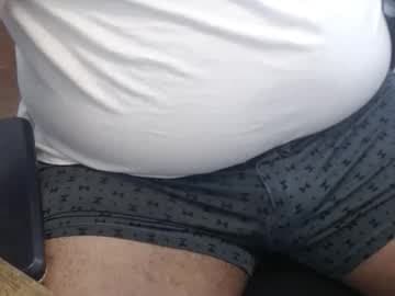 Gato