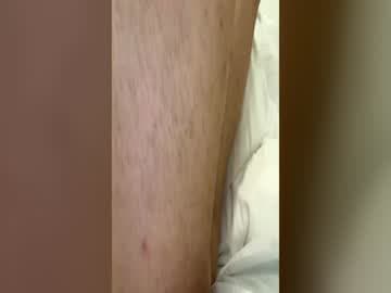 h11733
