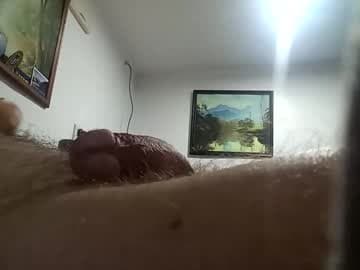 h_rd333