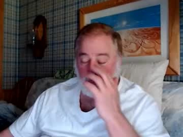 horsebigballs