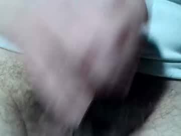 ocelhena
