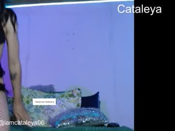 skulycataleya