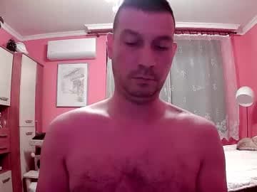 the_bee16