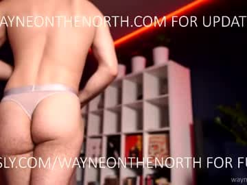 wayneonthenorth.com